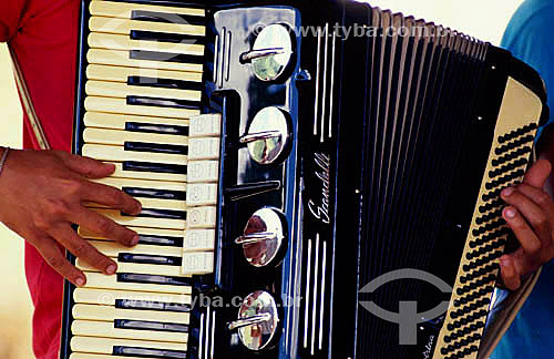  Musical instrument - Detail of hand playing accordion 