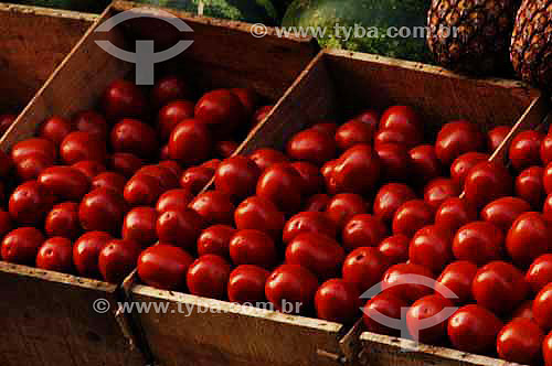  boxes with tomatoes - Market - Rio de Janeiro city - Rio de Janeiro state - Brazil - October 2006 