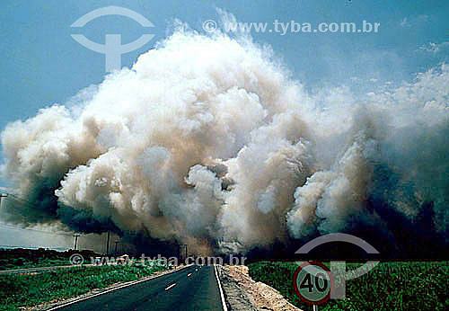  Cloud of smoke caused by fire in the highway 
