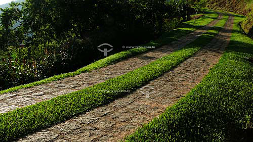  Car path through grass - Rio de Janeiro state - Brazil 