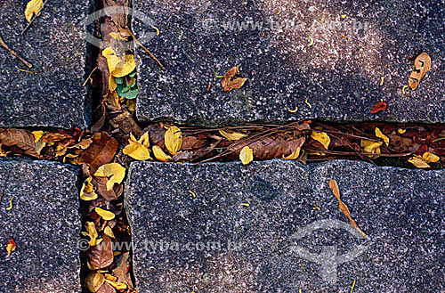  Visual effect: detail of the ground of stone with leafs in the shape of a cross 
