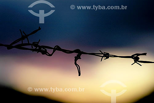  Barbed wire 