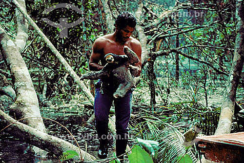 Environmental - Animals -Man rescuing sloth from a flood of the Balbina Hydroeletric Power Station construction - Amazonas state - Brazil 