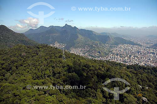  Aerial view of electricity pylons in forested mountains - Rio de Janeiro city - Rio de Janeiro state - Brazil 