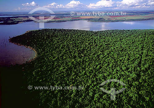  Timber plantations and soybeans on 