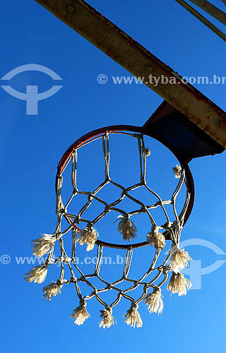  Basketball net  