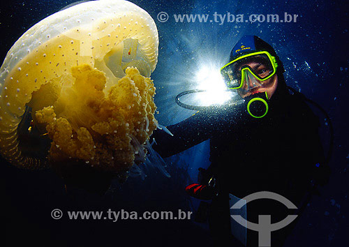  Diver with Jellyfish at the bottom of the ocean - Arraial do Cabo region - Rio de Janeiro state - Brazil 