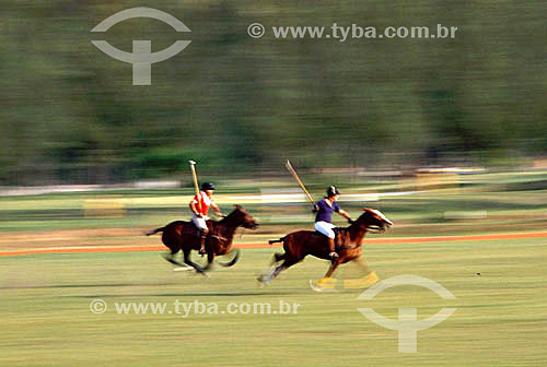  Polo game: Horsemen and horses 