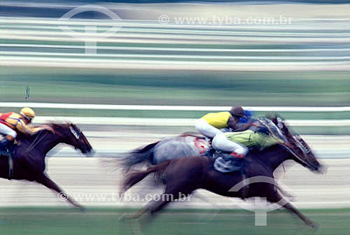 Riding:  Jockey, horse race - Hipodromo da Gavea (also known as the Jockey Club) - Rio de Janeiro city - Rio de Janeiro state - Brazil 
