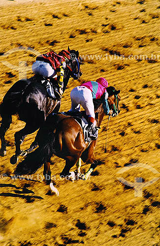  Turf horses race at the Hipodromo da Gavea (also known as Jockey Club of Rio de Janeiro) - Rio de Janeiro city - Rio de Janeiro state - Brazil 