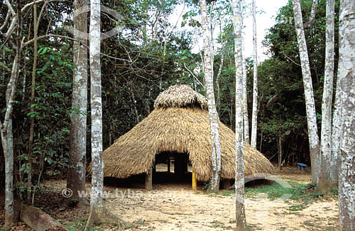 Indian`s house made of straw (Iricuri) - Chico Mendes Environmental Park - Rio Branco city - Acre state - Brazil 