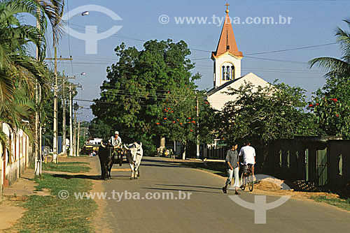  Ox wagon in the city of Xapuri - Acre state - Brazil 