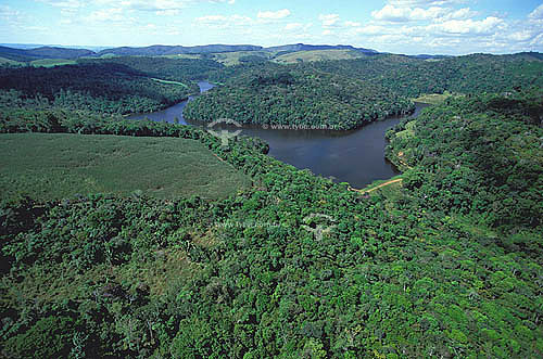  Aerial view of the Endangered Atlantic Rainforest of Northeastern Brazil - Usina Serra Grande Mountain Range, near Sao Jose da Laje town - Alagoas State - Brazil 