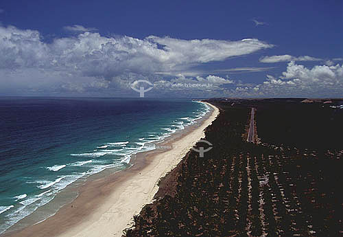  Aerial view of a beach in the south coast of Alagoas state - Brazil 