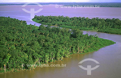  Aerial view of a part of Santana Island on the Amazonas River - Santana - Amapa state - Brazil 