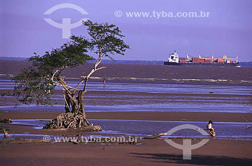  People standing in mud plains on the banks of the Amazonas River during low tide, with a cargo ship in the background - Macapa - Amapa state - Brazil 
