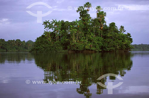  Island o n the Oiapoque River - Amapa state - Brazil 