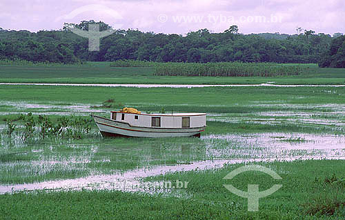  Boats in flooded fields - Urucaua River - Oiapoque town - Amapa state - Brazil 