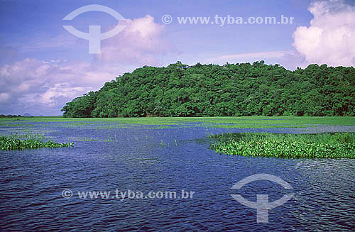  Urucaua River - Oiapoque town - Amapa state - Brazil 