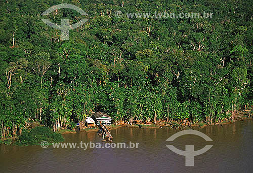  House at Amazonas river bank - Mazagao county - Amapa state - Brazil 