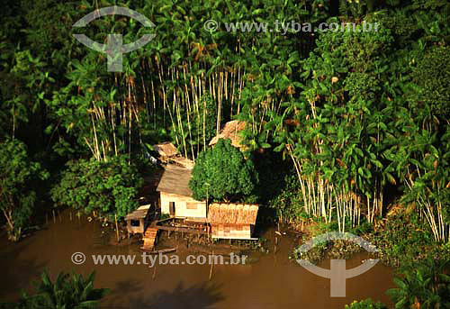  Aerial view of Amazon forest with 