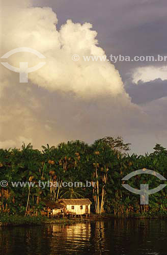  Ribeirinhos (*) house - Mazagao county - Amapa State - Brazil  *People who live near the Amazon river. 