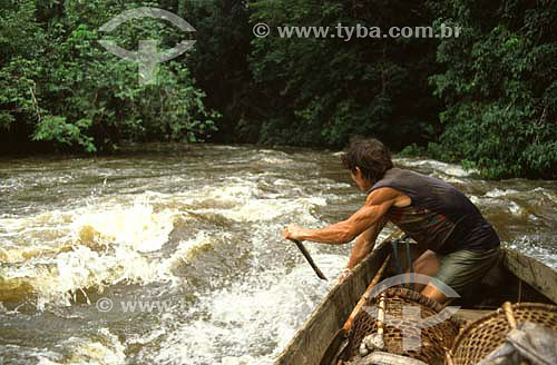  Nuts collector navigating through whitewater of RESEX (Extractive reserve) Cajari river - Mazagao county -  Amapa state - Brazil 