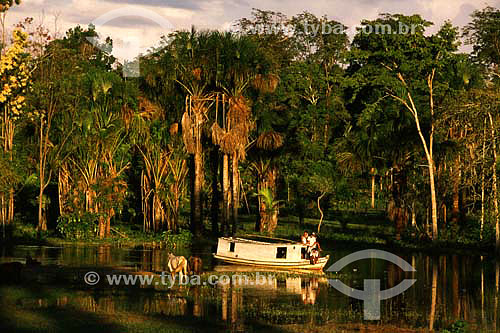  Boat in the Amazonas river - Mazagao county - Amapa state - Brazil 