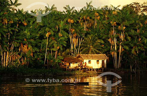  Ribeirinho(*) canoe and house in Amazonas river bank - Mazagao county - Amapa state - Brazil  *People which lives near the Amazon river. 