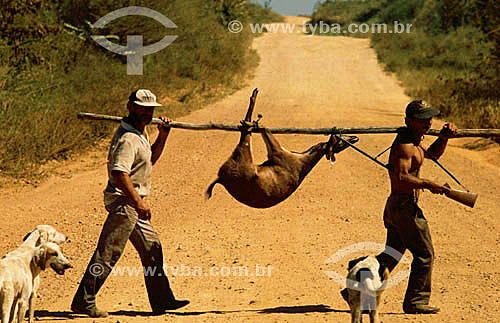  Men crossing Transpantaneira with a hunted deer and two dogs - Pantanal National Park* - Mato Grosso state - Brazil  * The Pantanal Region in Mato Grosso state is a UNESCO World Heritage Site since 2000 