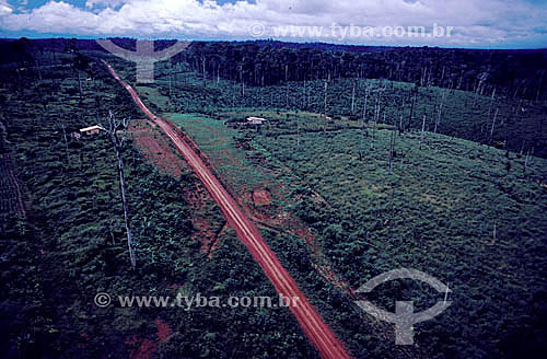  Aerial view of the Trans-Amazonian Highway - Amazonas state - Brazil 