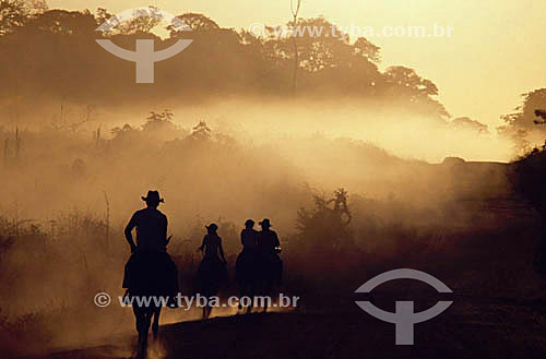  Settlers` silhouette on horses in the fog - Trans-Amazonian Highway - Amazonas state - Brazil 