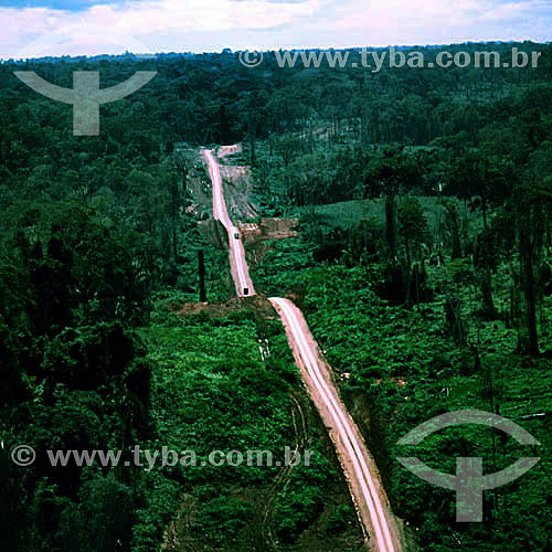  Aerial view of the Trans-Amazonian Highway - Amazonas state - Brazil 