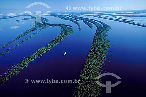  Aerial view of the Anavilhanas Archipelago * - Rio Negro (Black River) - Amazonas state - Amazonian - Brazil          * The archipelago is formed by 400 islands and it reaches 90 KM 