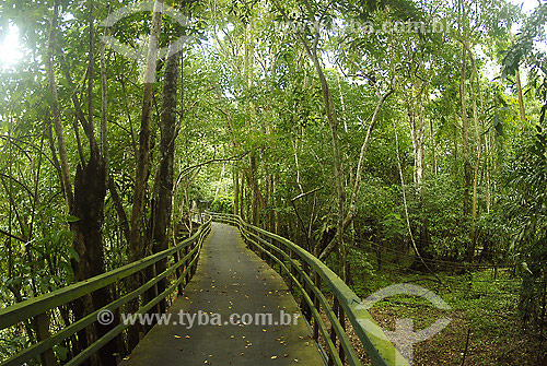  Pathways at Ariau Hotel - Rio Negro region - Amazonas state - Brazil 