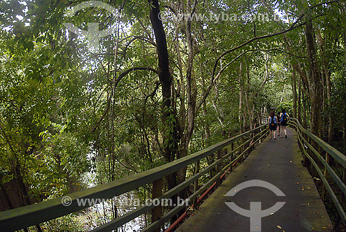  Pathways at Ariau Hotel - Rio Negro region - Amazonas state - Brazil 