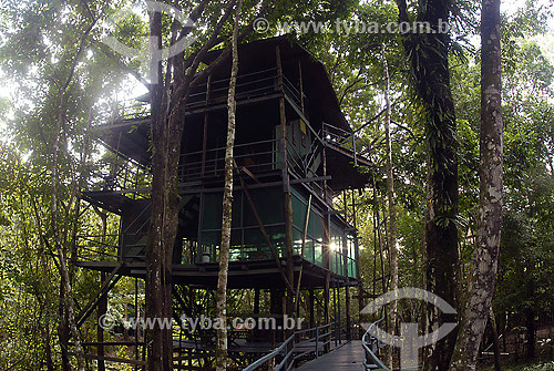  Tarzans House - Ariau Hotel - Rio Negro region - Amazonas state - Brazil 