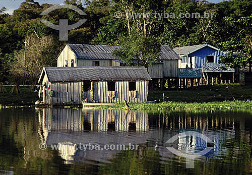  Amazonian Inhabitants - Wood houses on the riverside, typical of the 