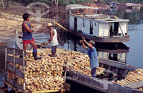  Boat unloading palm heart - Barcelos village, the former capital of Amazonas state - Amazonas state - Brazil 