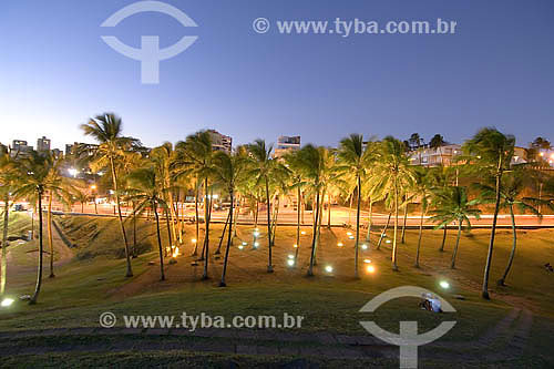  Palmtrees at Barra beach - Salvador city - Bahia state - Brazil 