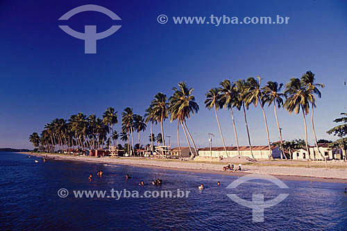  People and coconut trees on the beach of the Itaparica Island* - Bahia state - Brazil  * The Itaparica Island is situated in the Baia de Todos os Santos (All Saints Bay) and its architectural and town planning joint is a National Historic Site since 