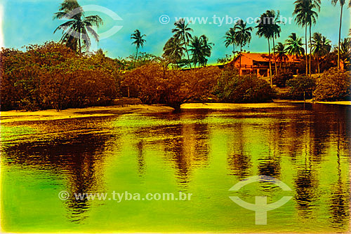  House to the seashore with gilded reflex and coconut trees - Praia do Forte Beach - Mata de Sao Joao - 