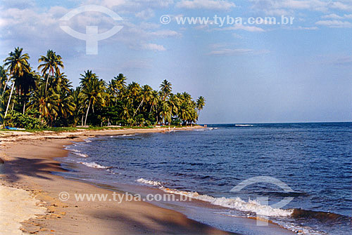  Praia do Forte Beach - Mata de Sao Joao - 