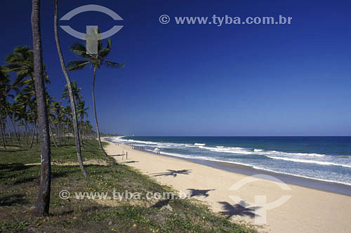  Arembepe Beach - south coast of Bahia state - Brazil 