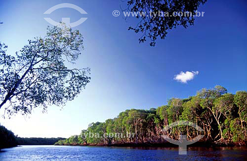  Cassumba island - Bahia state - Brazil 