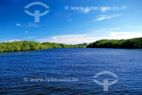  Caraiva river mangrove - Bahia state - Brazil 
