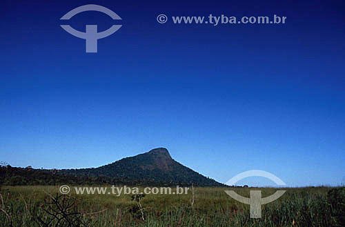  Pascoal Mountain - Pascoal Mount National Park* - south of Bahia state - Brazil  * The Costa do Descobrimento (Discovery Coast site, Atlantic Forest Reserve) is a UNESCO World Heritage Site since 12-01-1999, with 08 areas of natural reserve (includi 