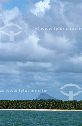  Pascoal Mountain in the background with the ocean, the sand and coconut palms in the foreground - Pascoal Mount National Park* - south of Bahia state - Brazil  * The Costa do Descobrimento (Discovery Coast site, Atlantic Forest Reserve) is a UNESCO  
