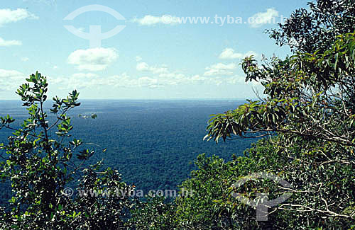  View of the Pascoal Mountain National Park* - south of Bahia state - Brazil  * The Costa do Descobrimento (Discovery Coast site, Atlantic Forest Reserve) is a UNESCO World Heritage Site since 01-12-1999, with 08 areas of natural reserve (including t 