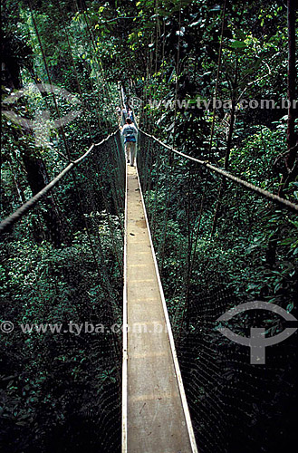  Suspended catwalk on the cup of the trees - Biological Reserve of Una - 